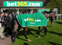 Hadrian's Approach (hevonen) Bet365 Jump Finale -kilpailun lopussa Sandownissa. Hevonen kantaa Bet365 vilttiä ja taustalla näkyy Bet365.com mainosplakaatti.