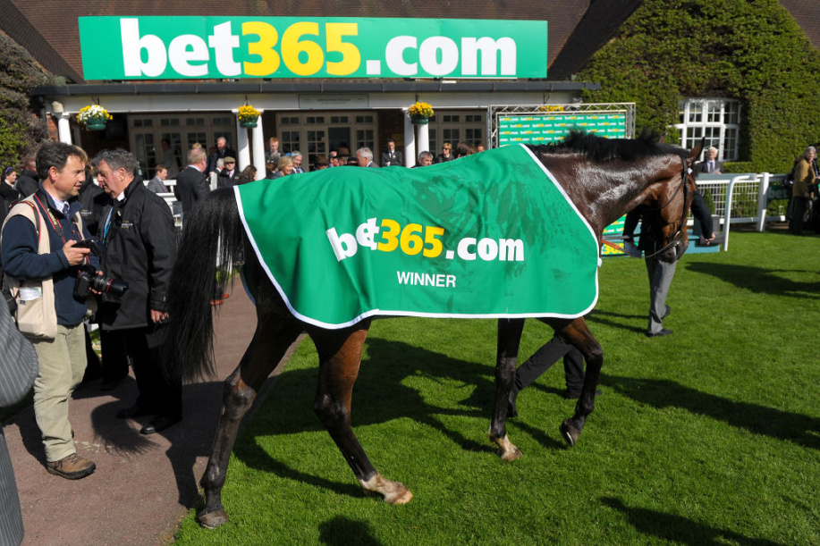 Kilpahevonen kävelee voittajaseremoniaan vihreä bet365-voittoloimi selässään. Taustalla näkyy bet365-mainos ja ihmisiä kilparadan alueella. Kuva havainnollistaa vedonlyöntiyhtiöiden pitkää sponsorointiroolia brittiläisessä hevosurheilussa.
