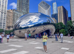 Chicagon papu veistos.