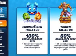 Kuvassa näkyy näyttökuva Mainio Kasinon talletuskohdasta. Rahapelisanomat
