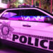 Las Vegasin poliisimaasturi.