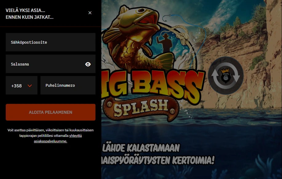 Huomio ruutu jossa pyydetään antamaan lisätietoja pelitilelle.